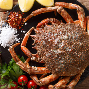 Araignée de mer vivante Pièce de 1Kg environ