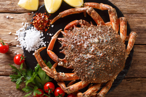 Araignée de mer vivante Pièce de 1Kg environ