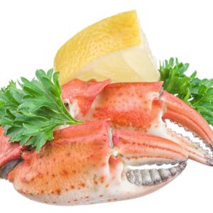 1 Pince de Tourteaux cuite ou 1kg (8 à 12 pièces au kg)