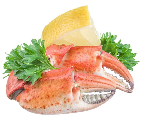 1 Pince de Tourteaux cuite ou 1kg (8 à 12 pièces au kg)