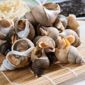 Bulots vivants 500G