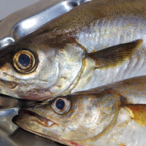 Lieu jaune Pièce de 1,2kG environ