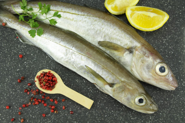 Merlans 300/500 vendu par 1kg