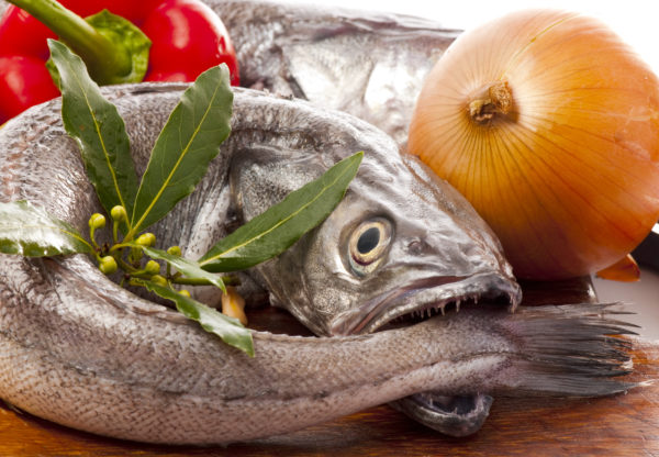 Merlu Pièce de 1.2Kg environ