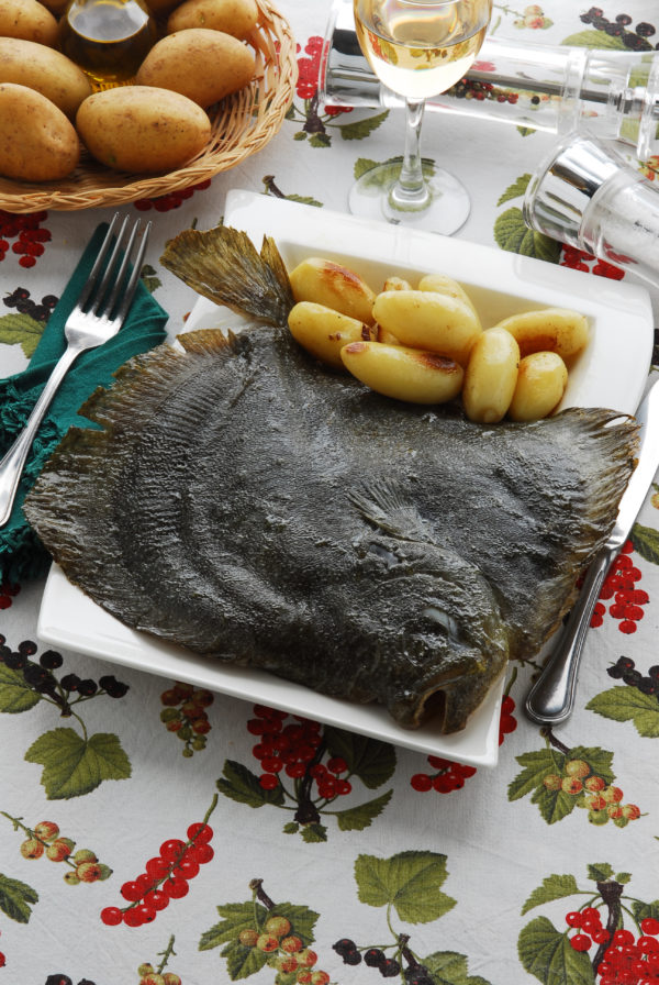 Turbot Pièce de 1.2Kg environ